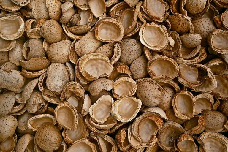 What is bothering managers today leadership mistakes